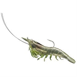 LIVETARGET Rigged Shrimp