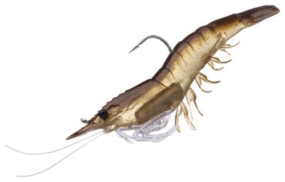 LIVETARGET Rigged Shrimp
