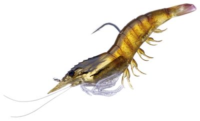 LIVETARGET Rigged Shrimp