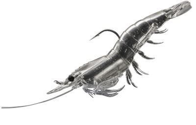 LIVETARGET Rigged Shrimp