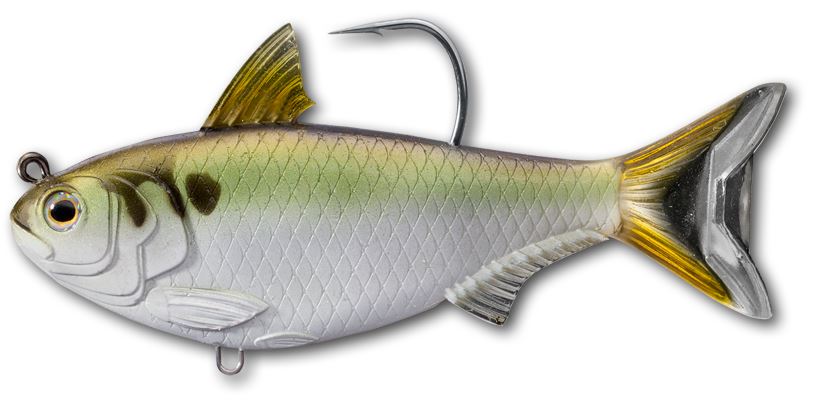 LIVETARGET Gizzard Shad
