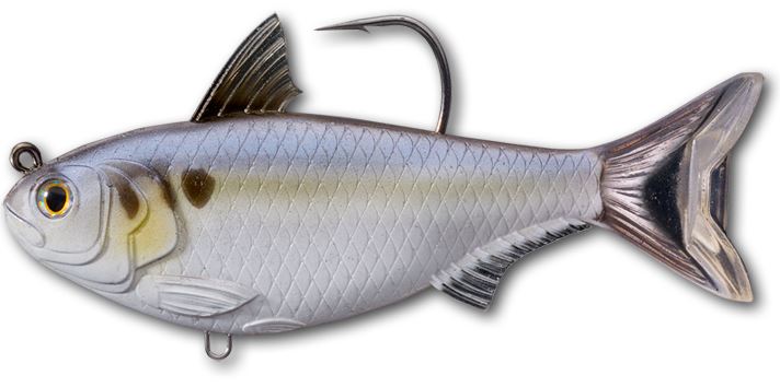 LIVETARGET Gizzard Shad