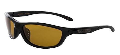 Spiderwire Polarized Sunglasses - Arthropod