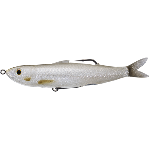 LIVETARGET Hollow Body Shiner