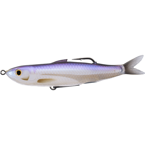 LIVETARGET Hollow Body Shiner