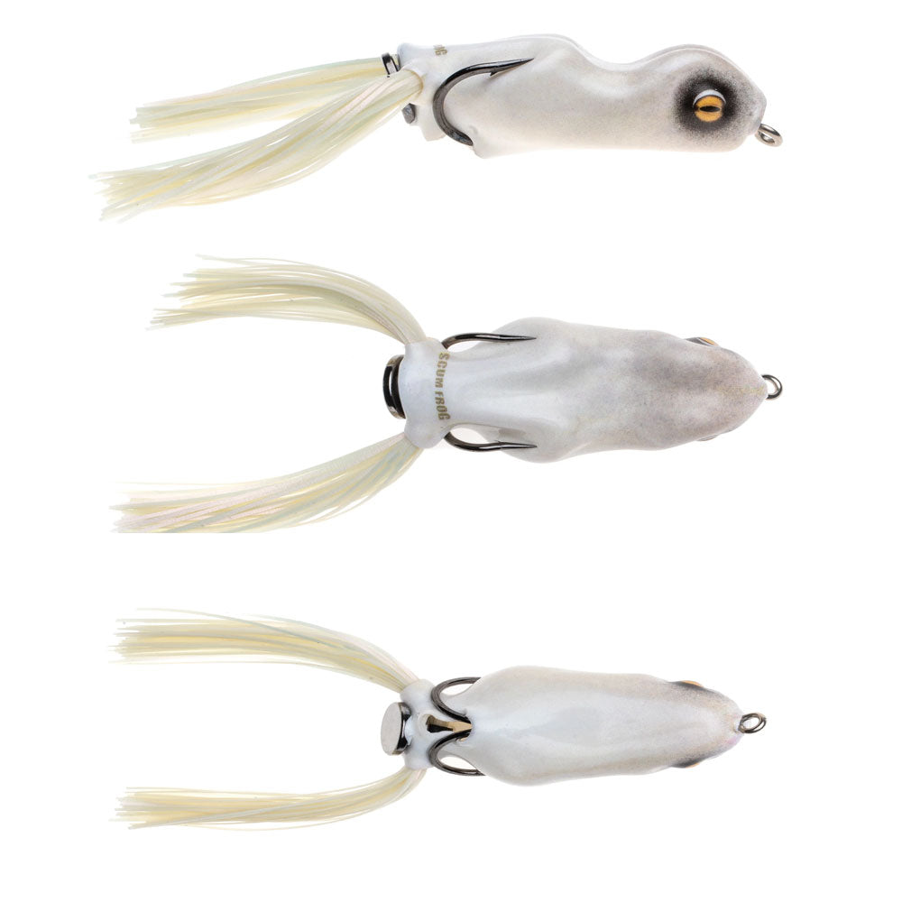 Scum Frog Painted Trophy Series