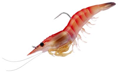 LIVETARGET Rigged Shrimp