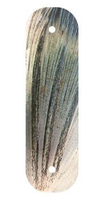 Gene Larew Dock Shoot'R Pull Tabs 24 Pack Holographic Scale
